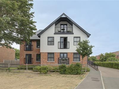 Picture 20